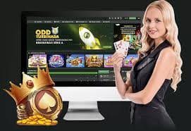 Casino-style slot games and live dealer tables on phdrem bet section